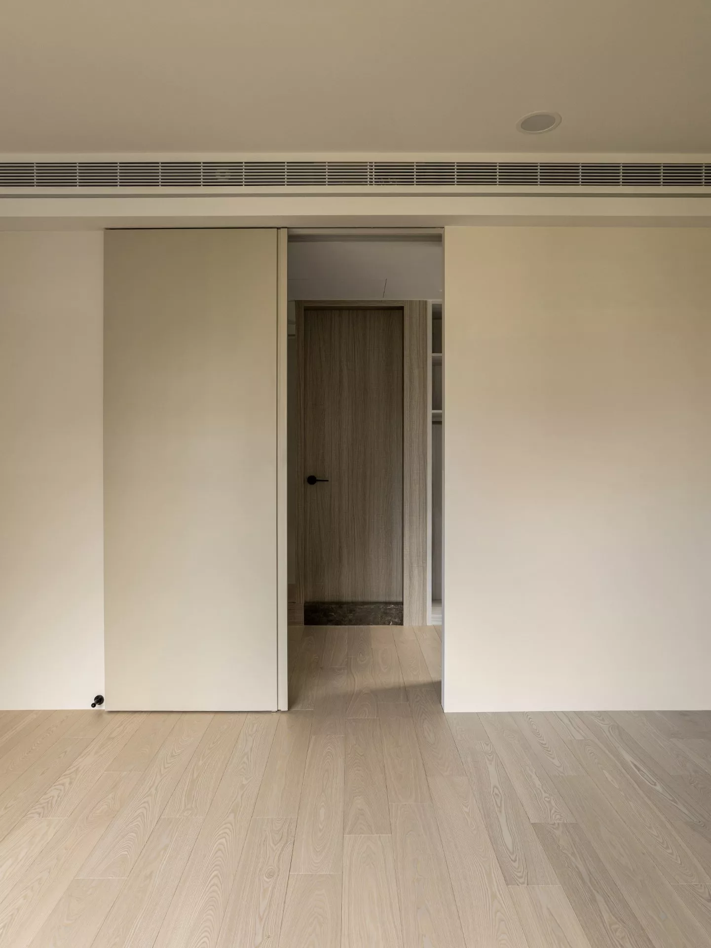 白腊木｜銀月光