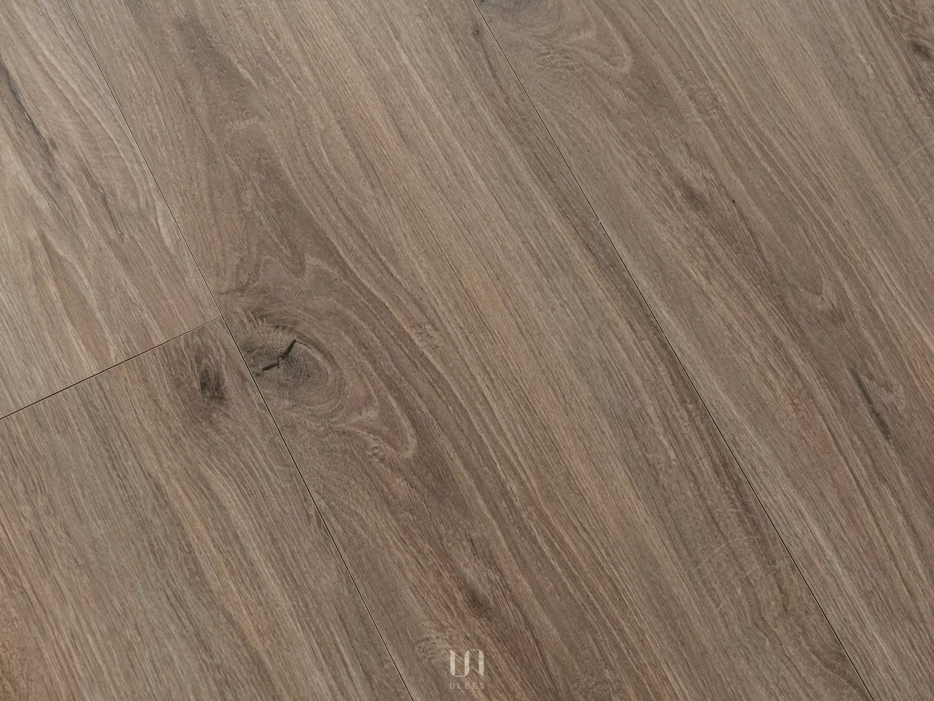 ST｜01 ．草本樺茶