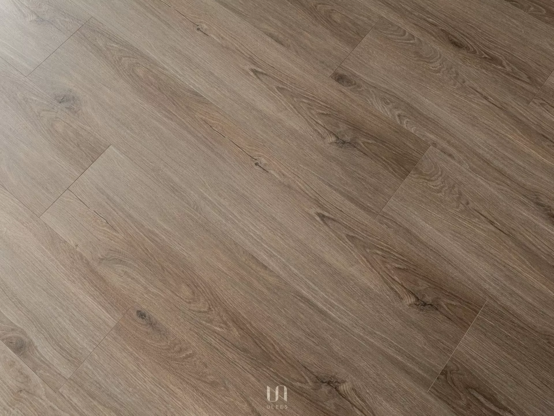 ST｜01 ．草本樺茶