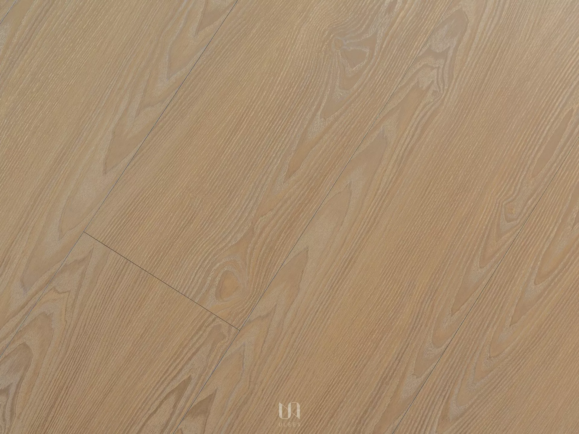 K｜晨橡