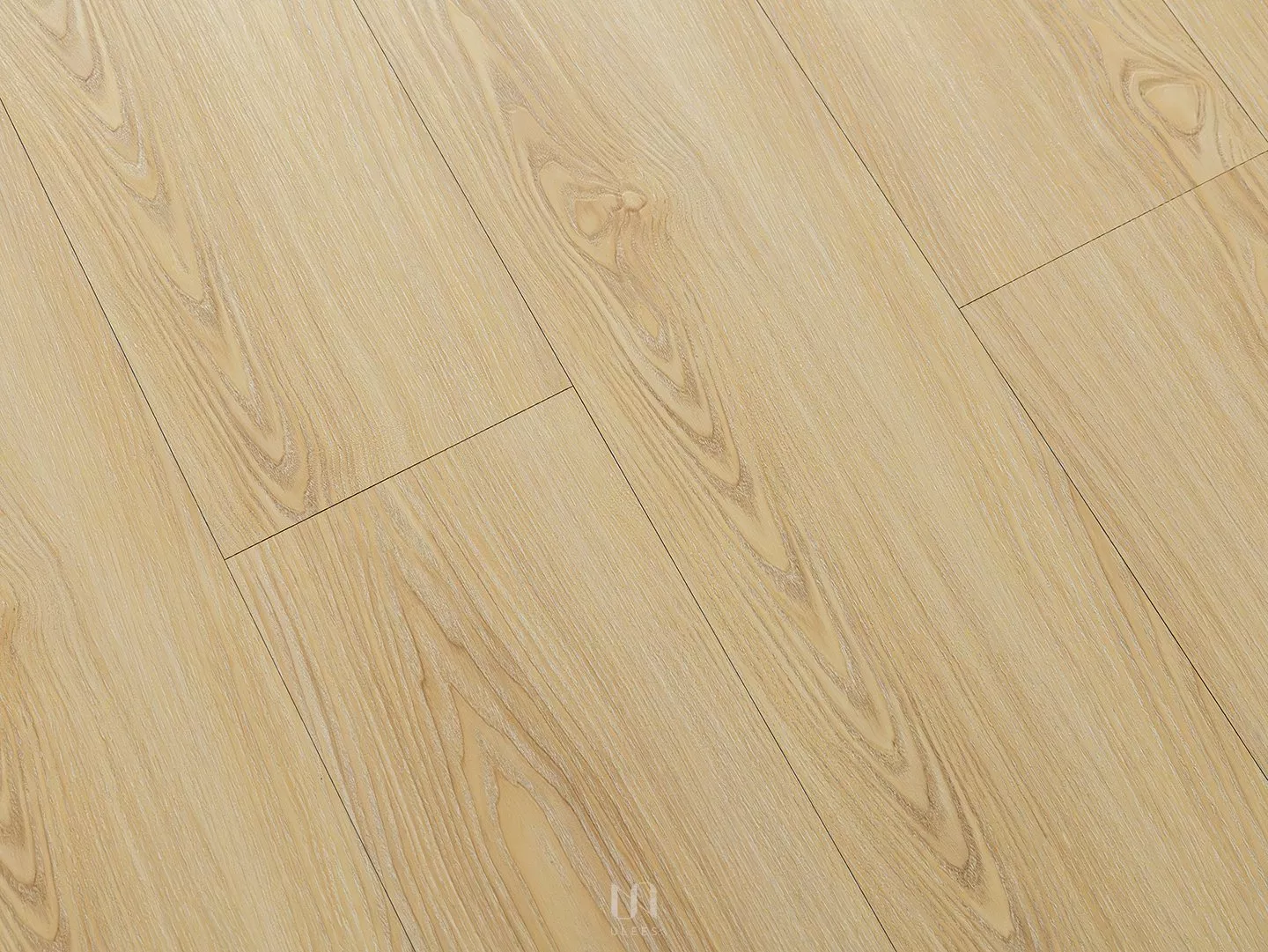 K｜月橡