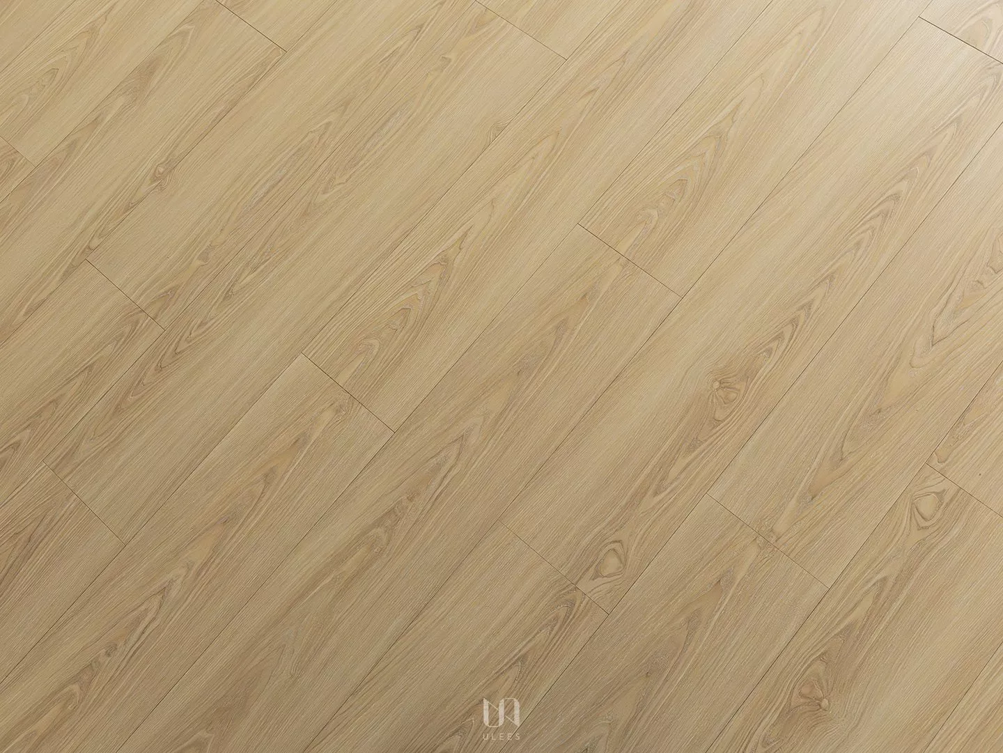 K｜月橡
