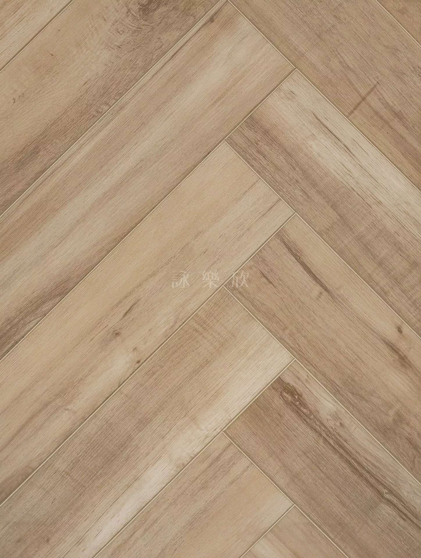 JU3｜309