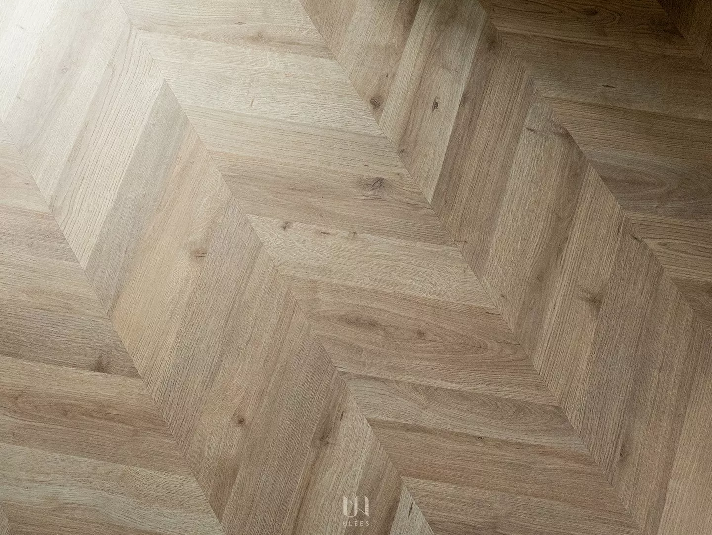 FINfloor｜奧爾良魚骨