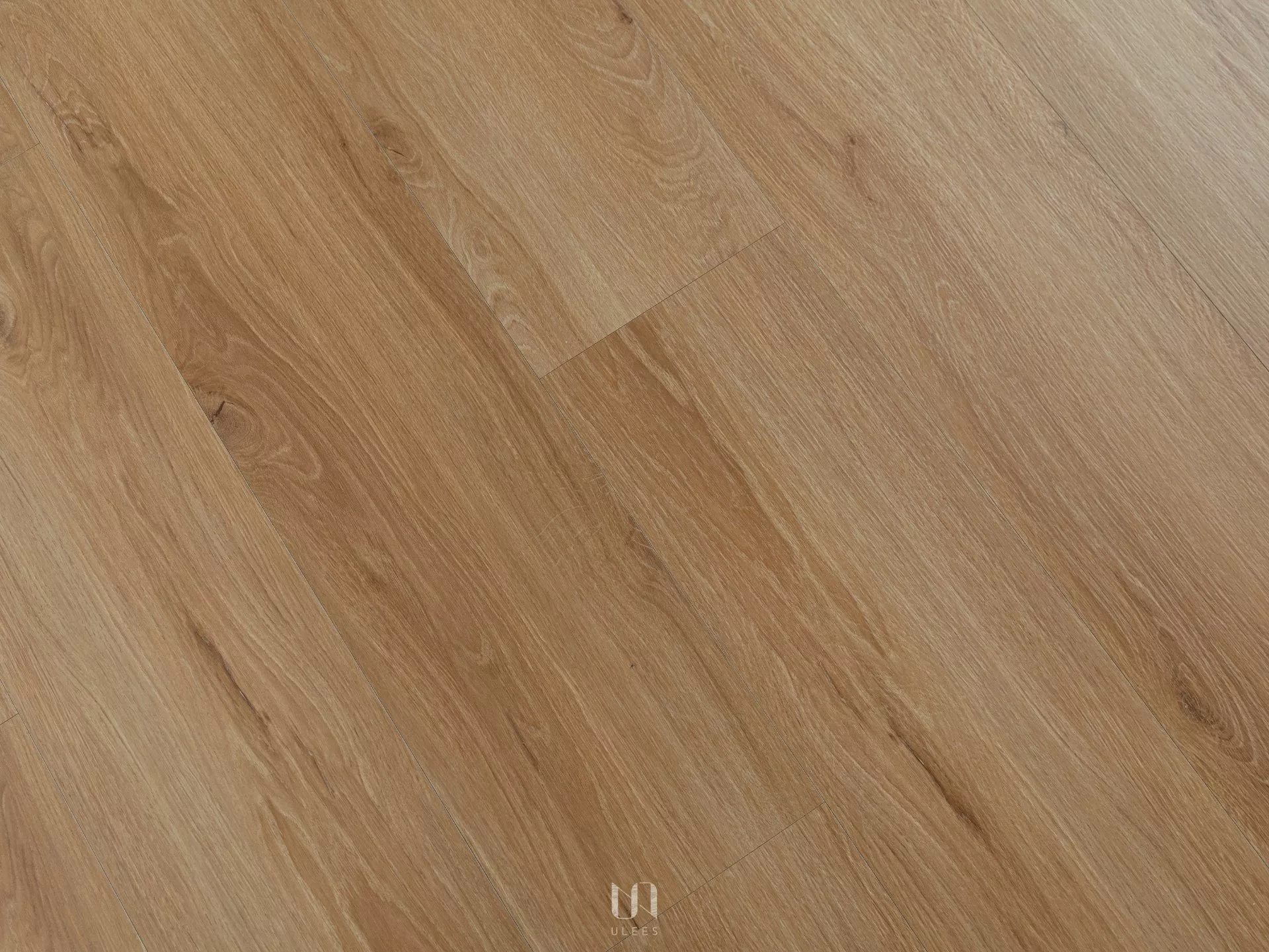 ST｜04 ．金楓琢光