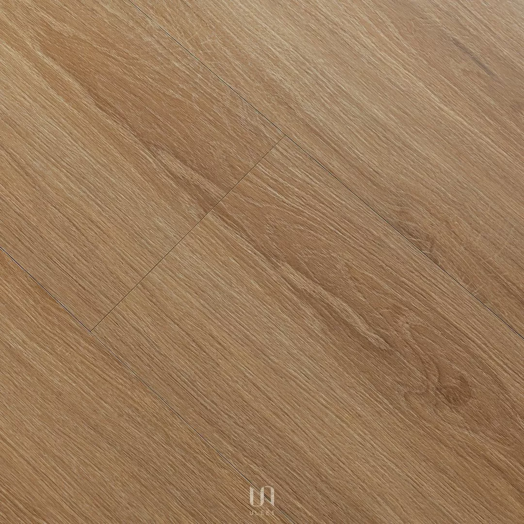 ST｜04 ．金楓琢光