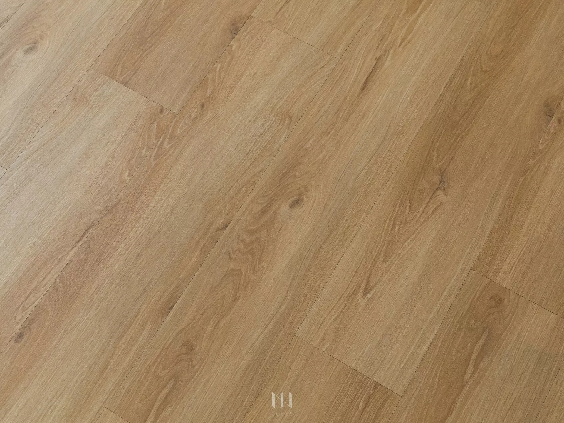 stellar｜04 ．金楓琢光