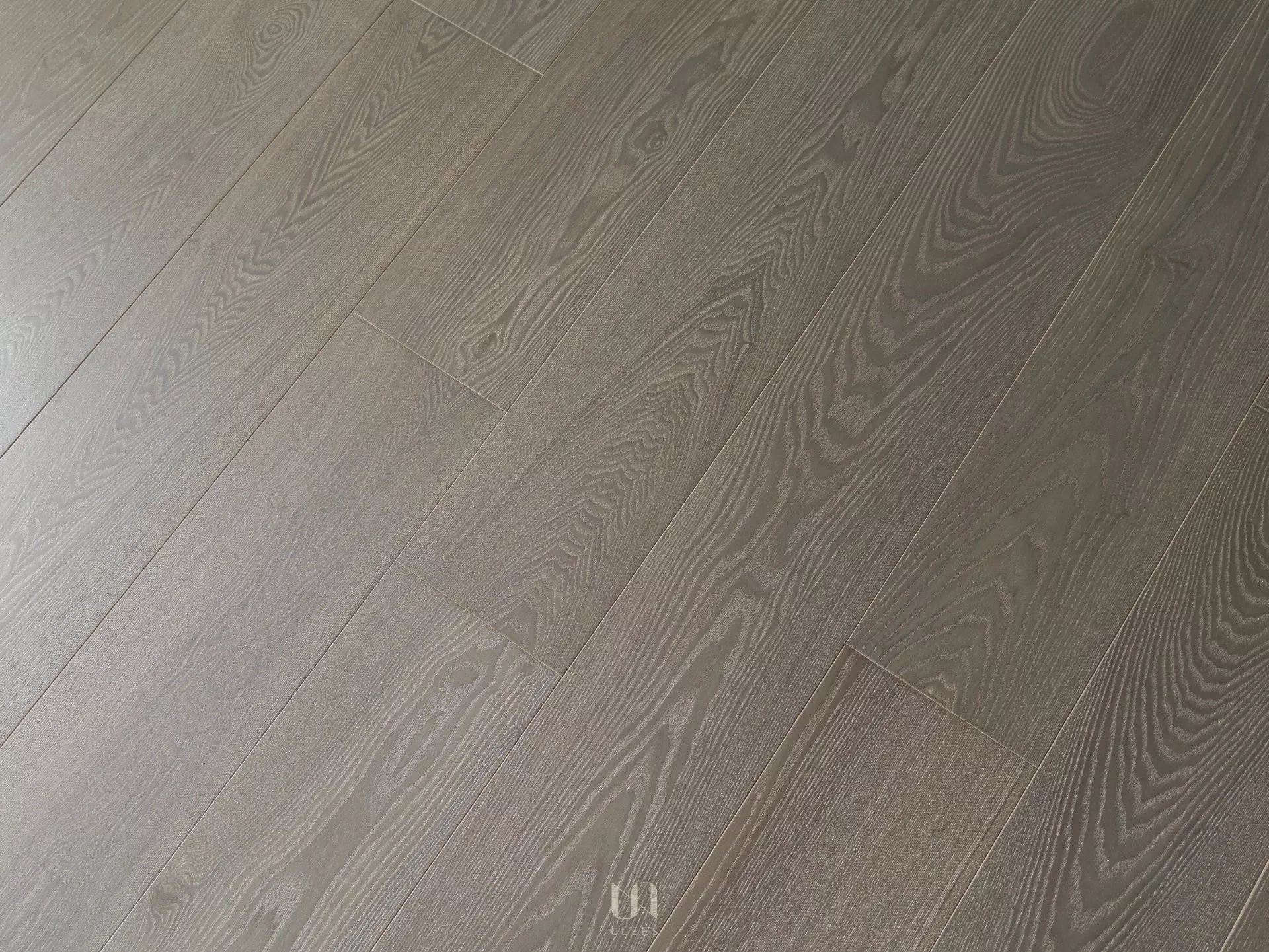 白腊木｜ 笛卡兒