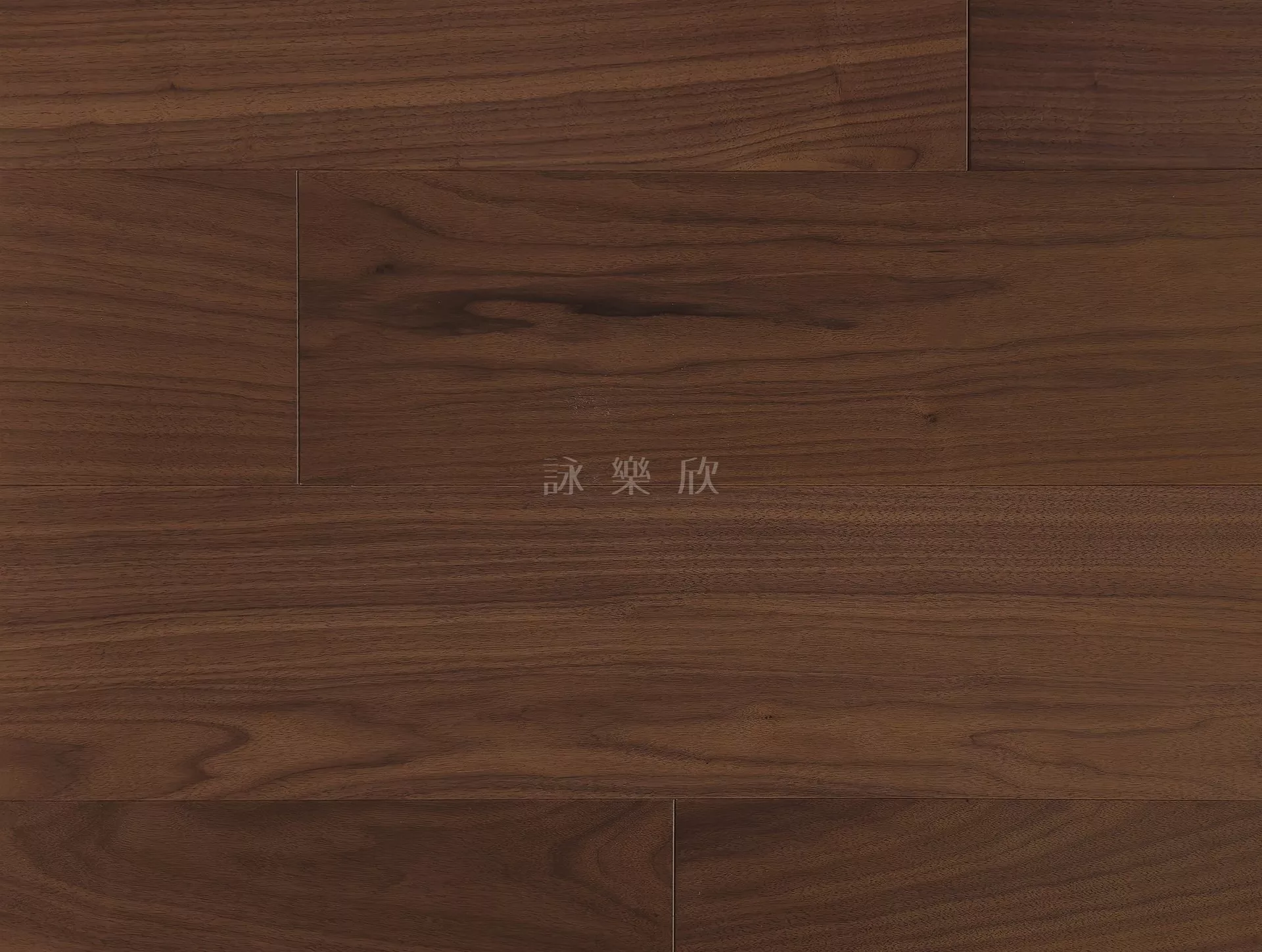 胡桃木｜范戴克．訂製