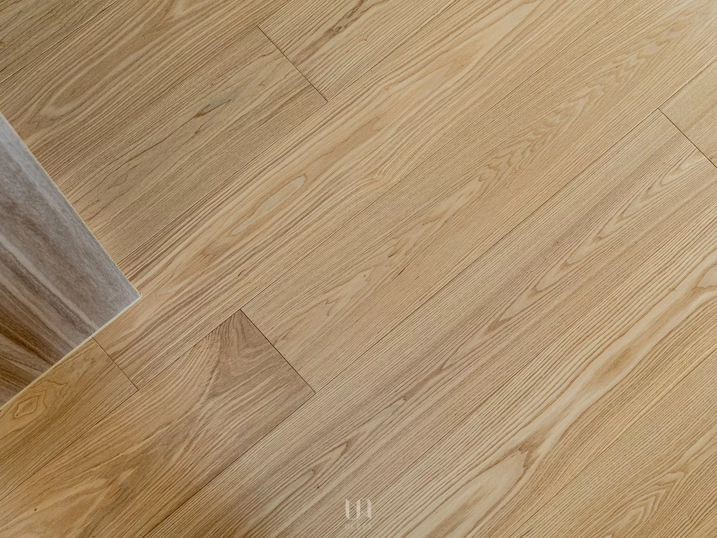 白腊木｜自然色
