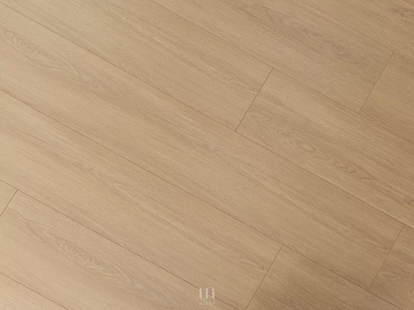 LN1004