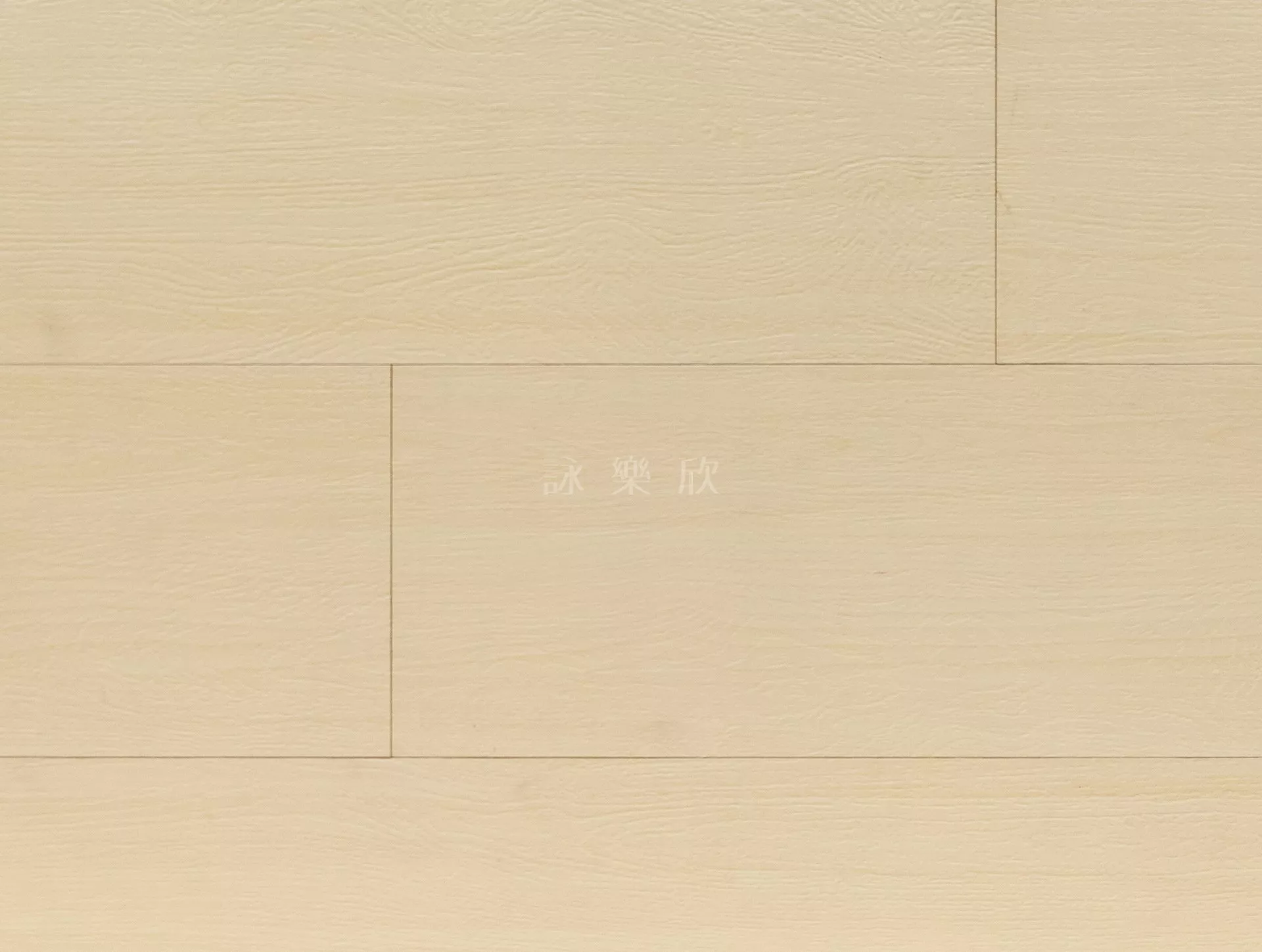 ST｜18 ．奶黃晨光