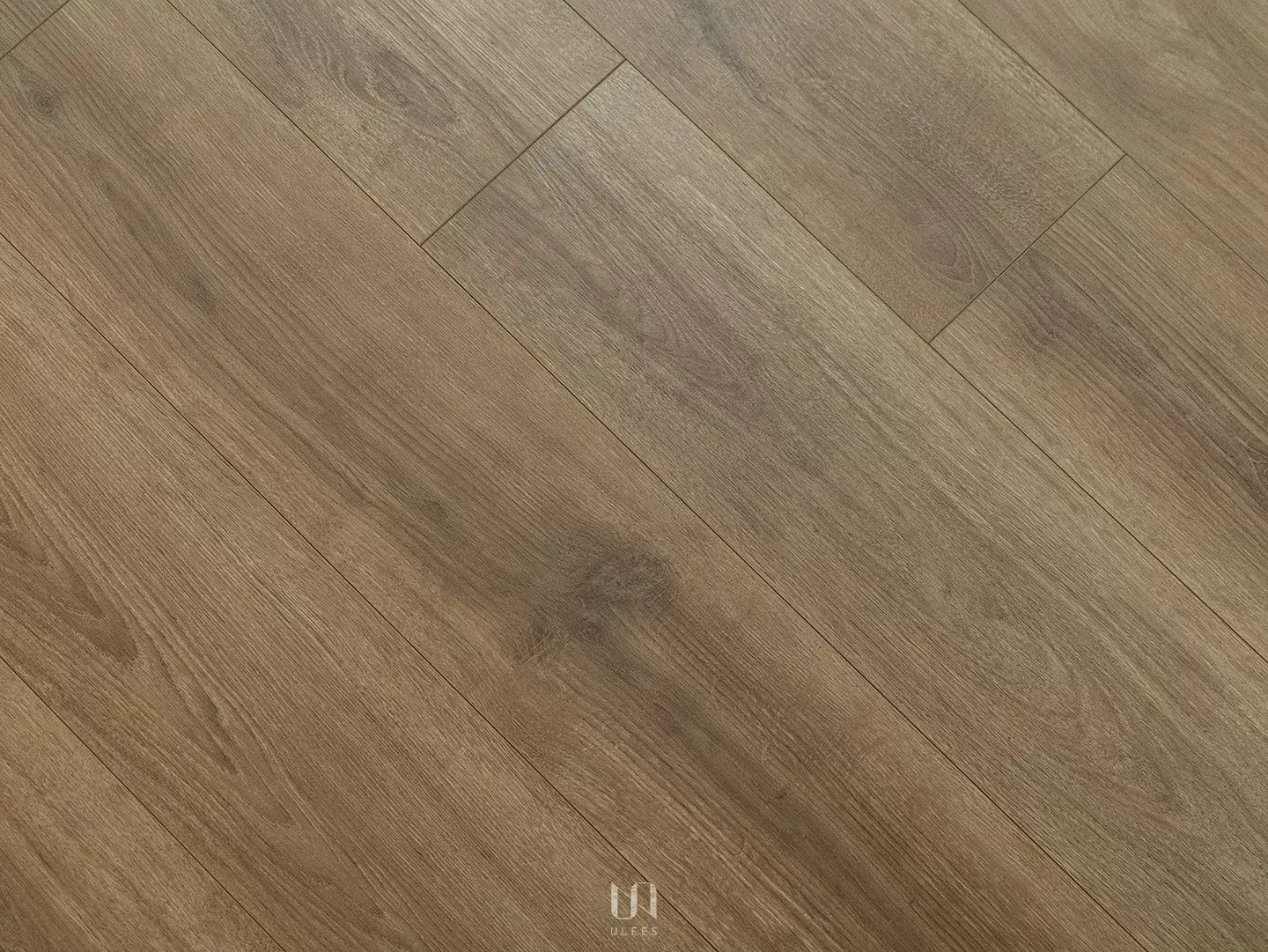 3228｜馬拉克橡木