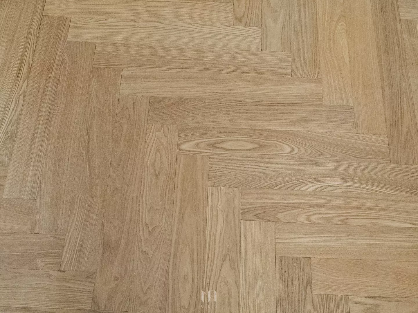 白腊木｜木肌見素．訂製