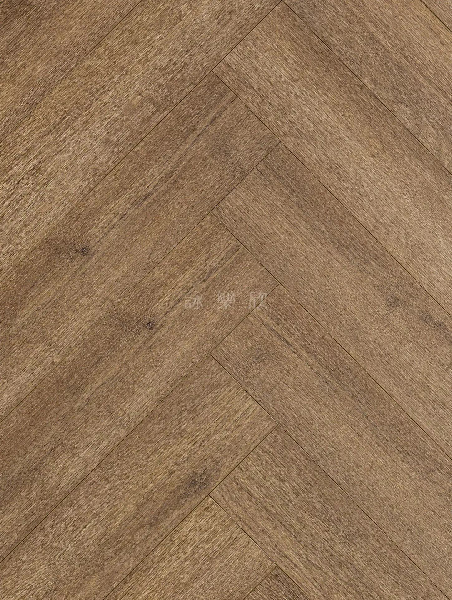 人字｜3228